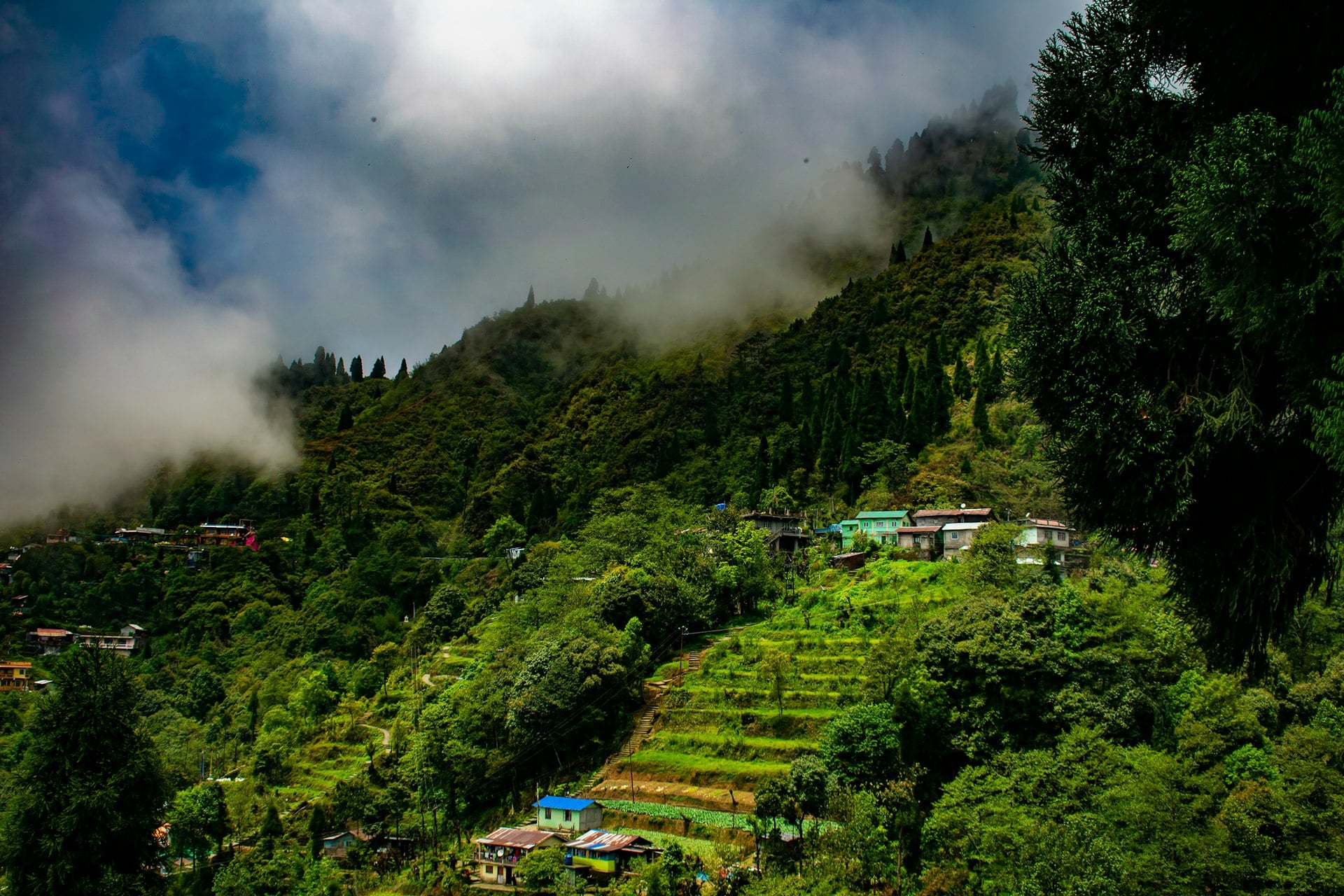 Discover Eastern Himalaya II