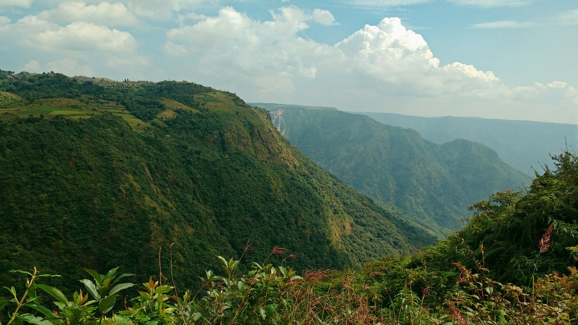 Mesmerising Meghalaya
