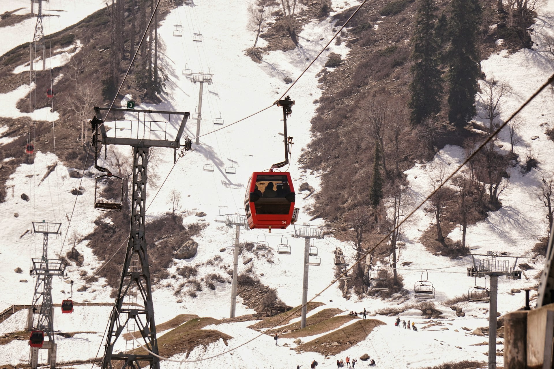 Kashmir Delight