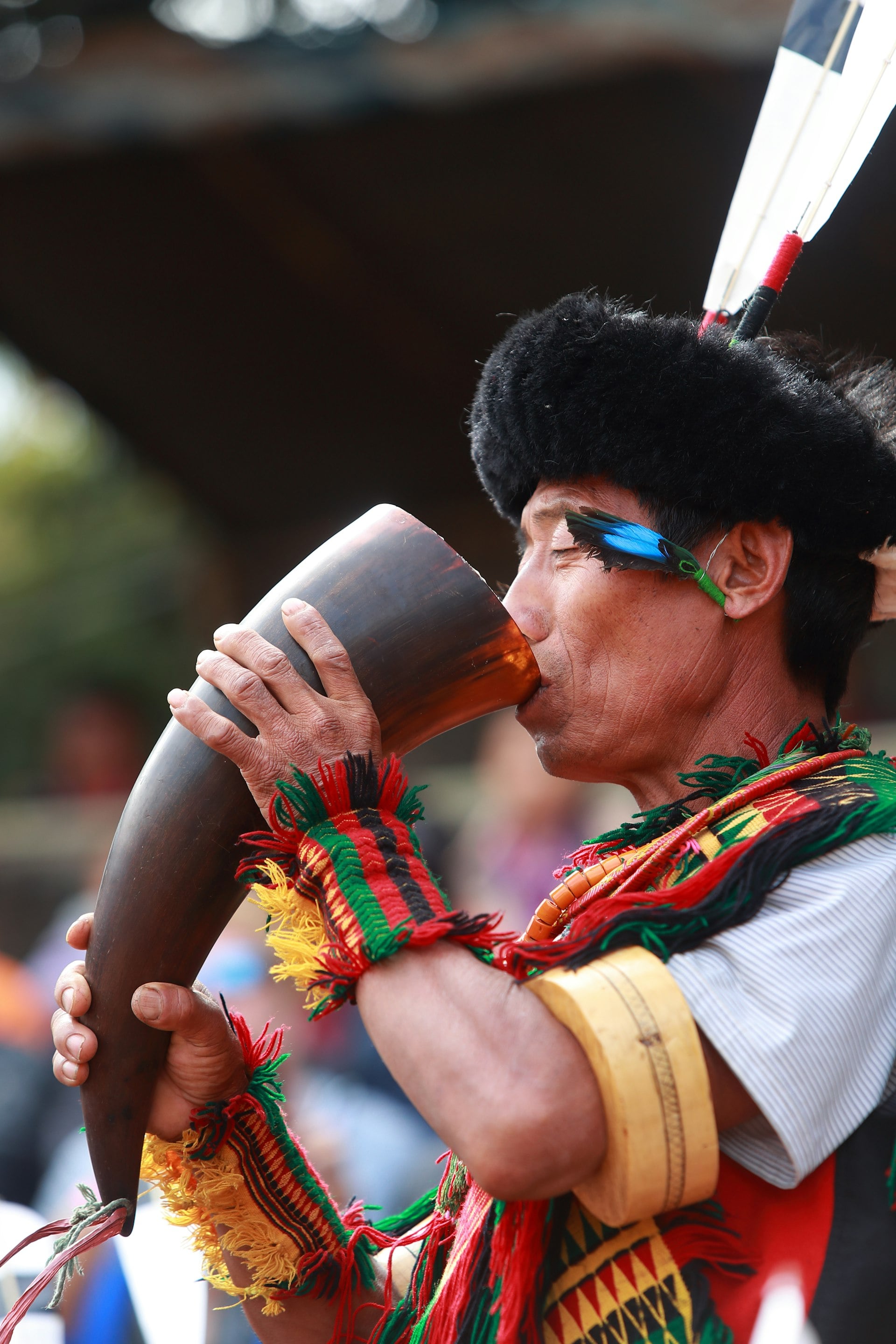 Nagaland Hornbill & Tribal Trail