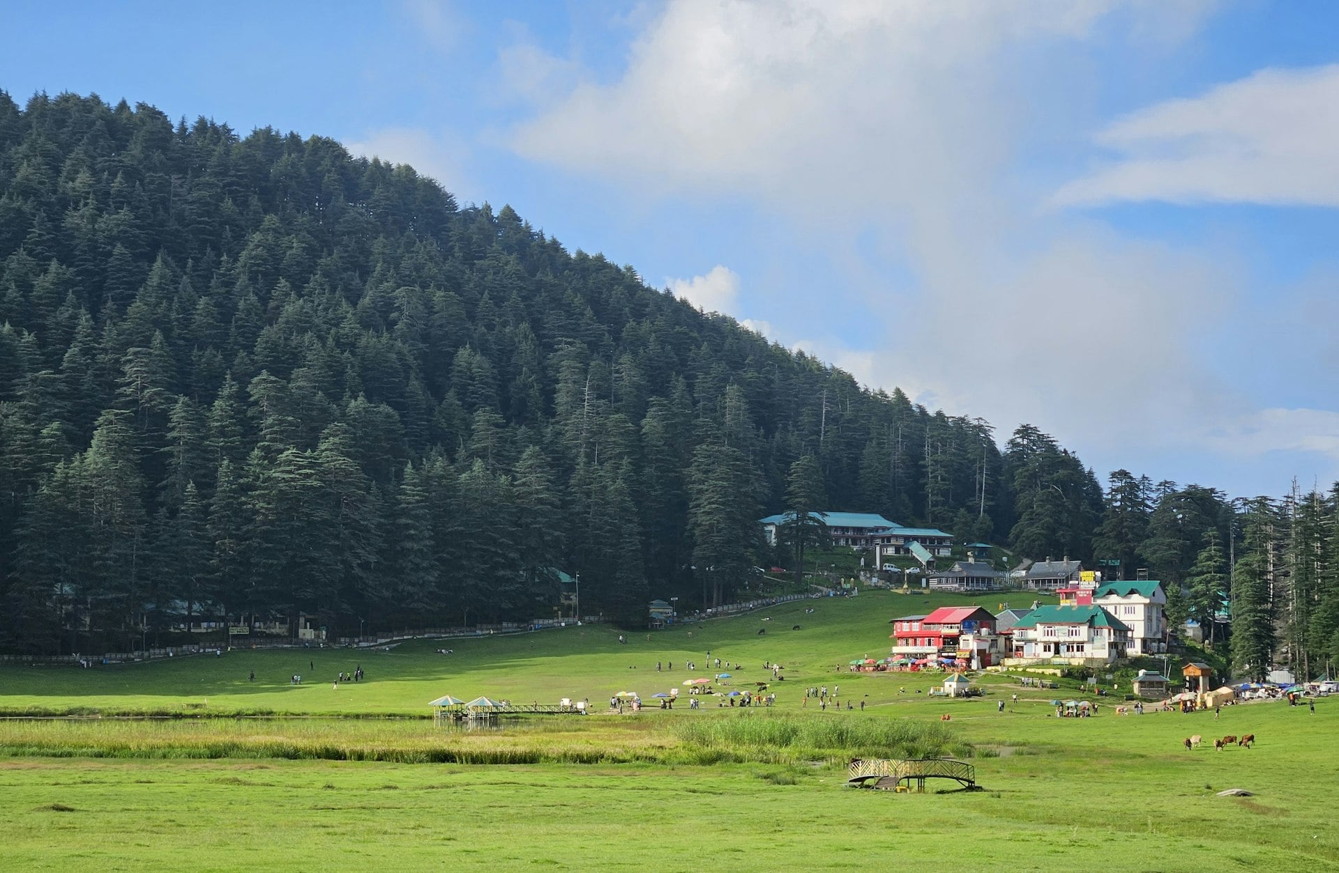 Complete Himachal Honeymoon Tour