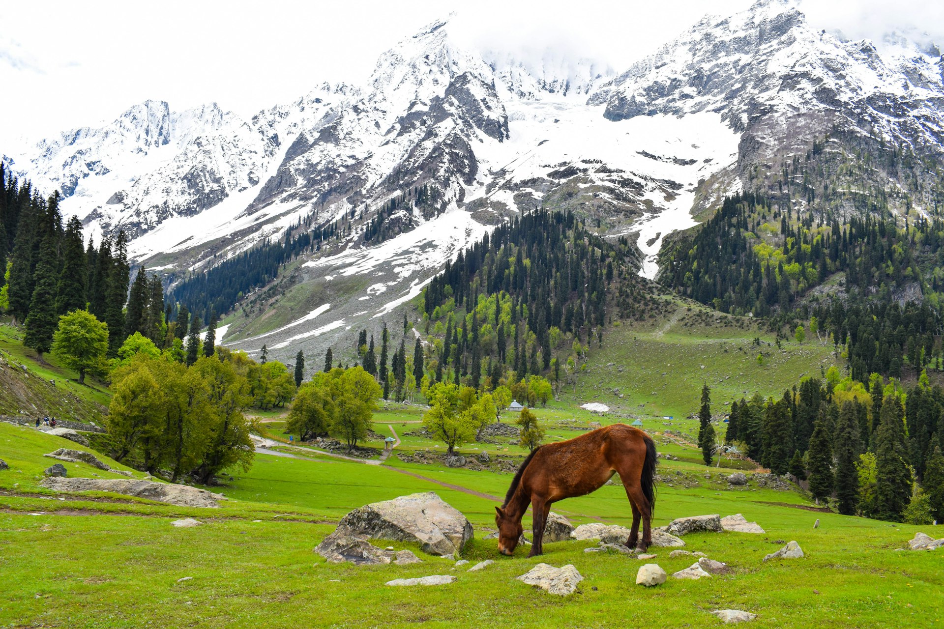 Magical Kashmir